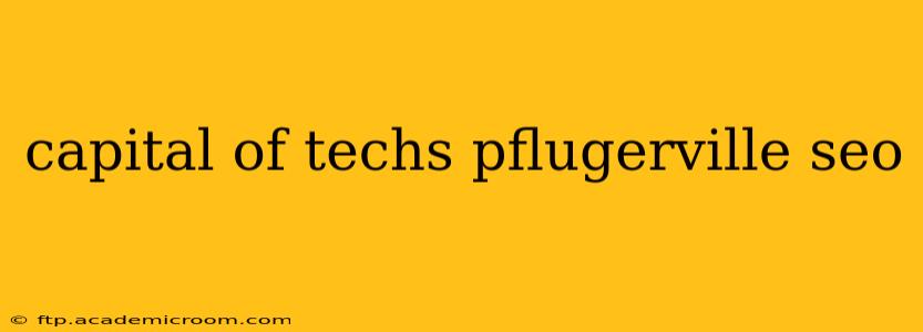 capital of techs pflugerville seo