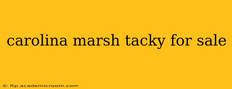 carolina marsh tacky for sale