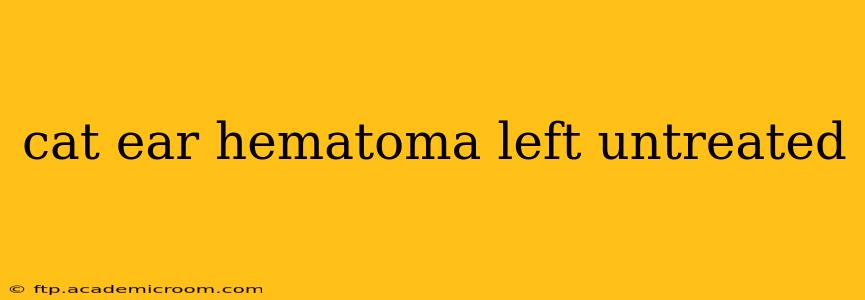 cat ear hematoma left untreated