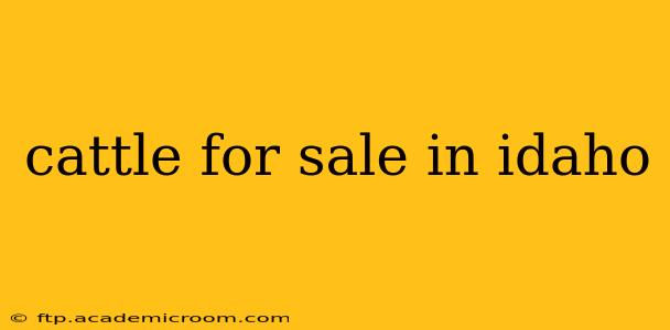 cattle for sale in idaho