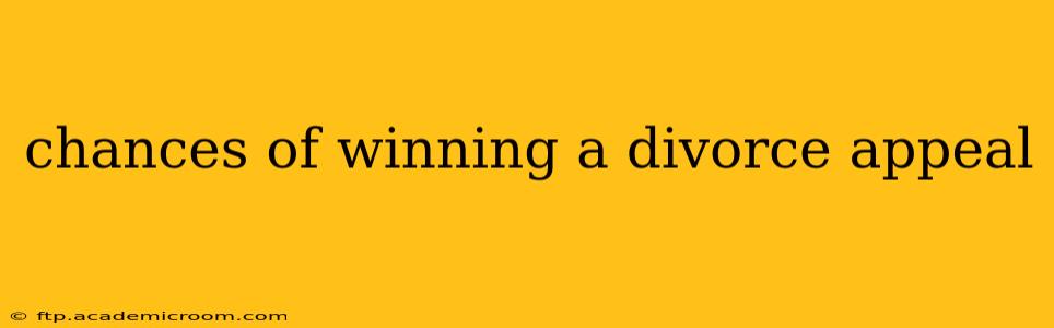 chances of winning a divorce appeal
