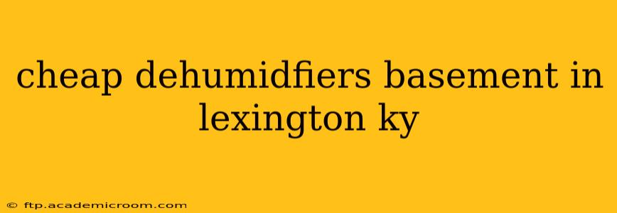 cheap dehumidfiers basement in lexington ky