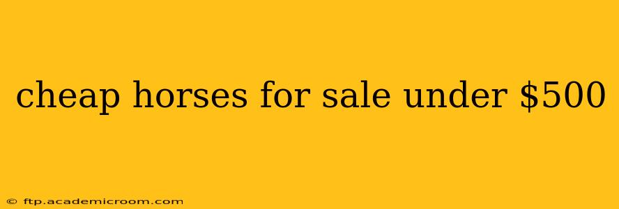 cheap horses for sale under $500