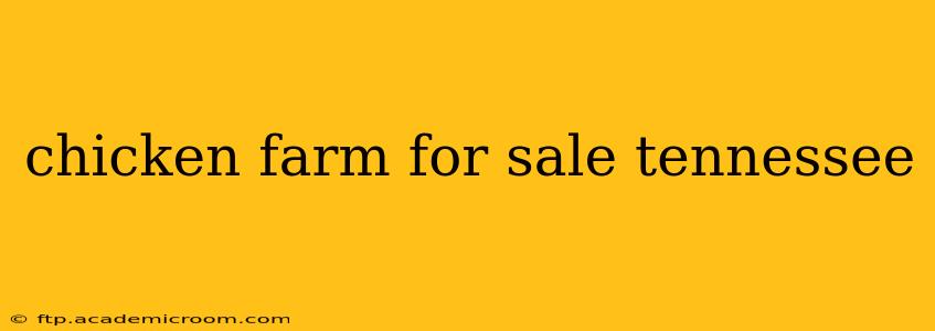 chicken farm for sale tennessee