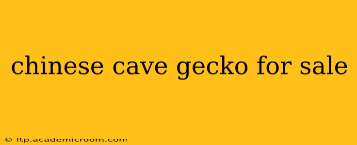 chinese cave gecko for sale