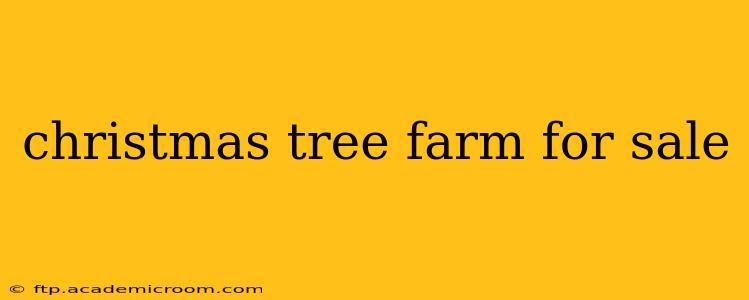 christmas tree farm for sale