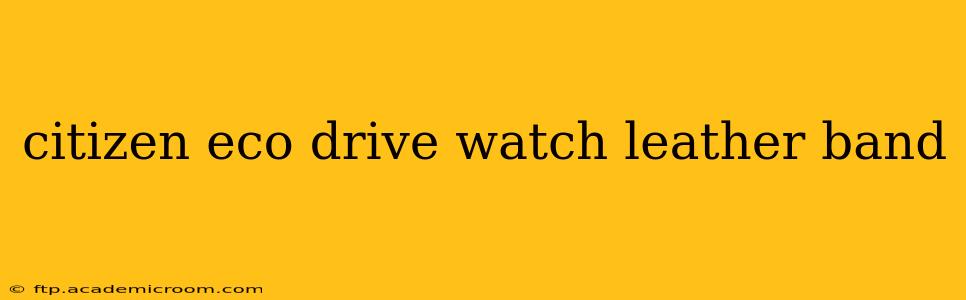 citizen eco drive watch leather band