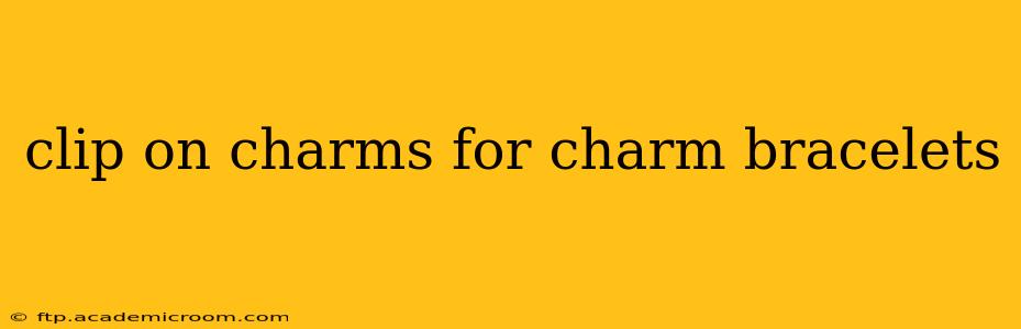 clip on charms for charm bracelets