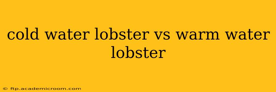 cold water lobster vs warm water lobster