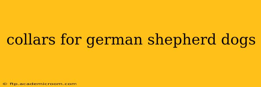 collars for german shepherd dogs