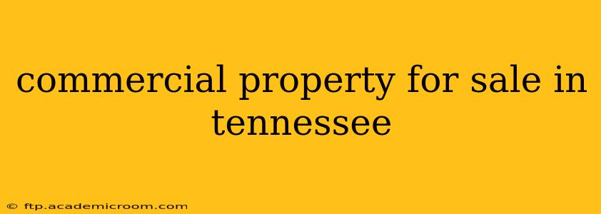 commercial property for sale in tennessee