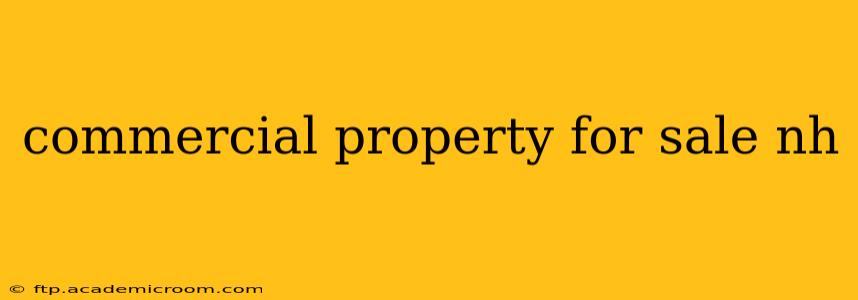 commercial property for sale nh