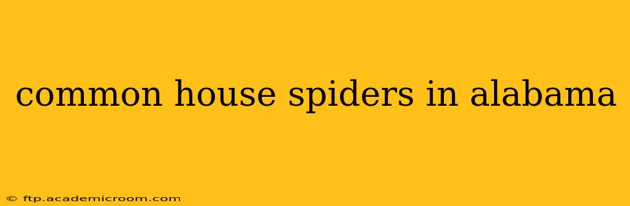 common house spiders in alabama
