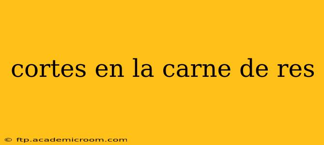 cortes en la carne de res