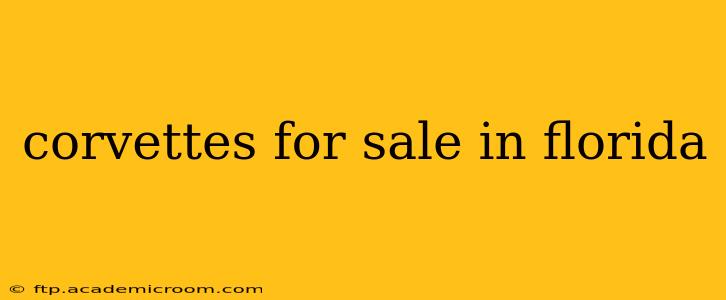 corvettes for sale in florida