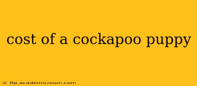 cost of a cockapoo puppy