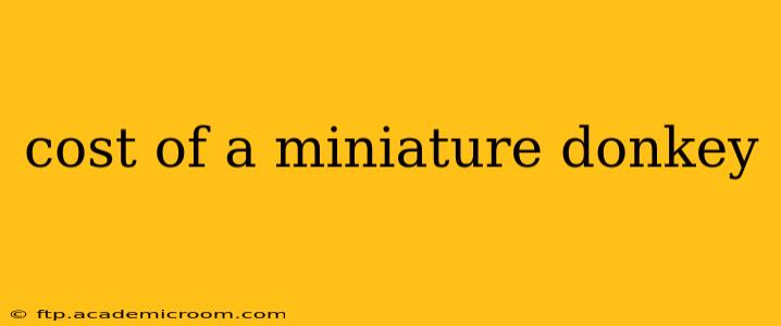 cost of a miniature donkey