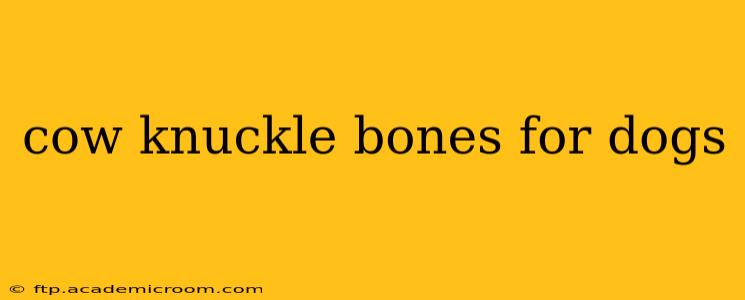 cow knuckle bones for dogs