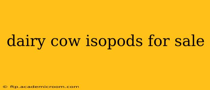 dairy cow isopods for sale