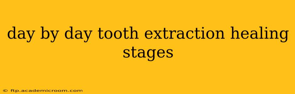 day by day tooth extraction healing stages