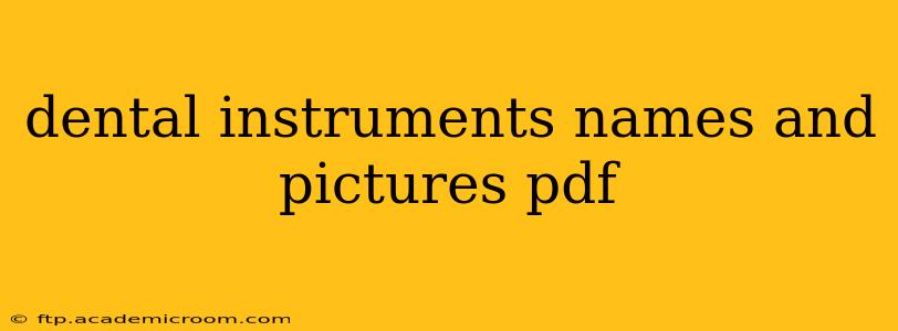 dental instruments names and pictures pdf