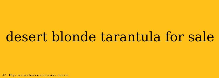desert blonde tarantula for sale