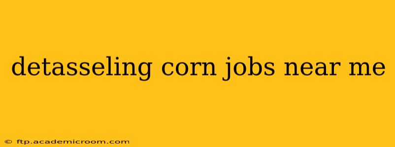 detasseling corn jobs near me