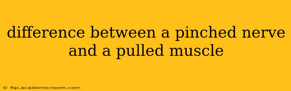difference between a pinched nerve and a pulled muscle