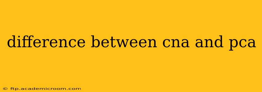 difference between cna and pca