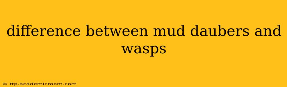 difference between mud daubers and wasps