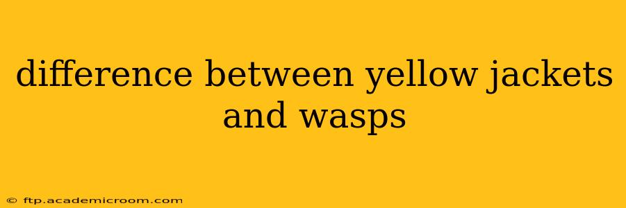 difference between yellow jackets and wasps