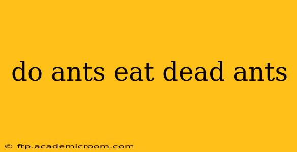 do ants eat dead ants