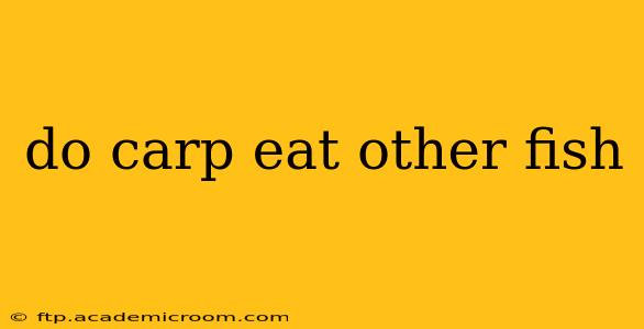 do carp eat other fish