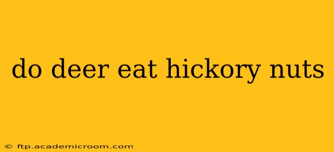 do deer eat hickory nuts