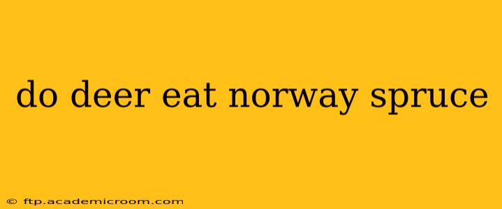 do deer eat norway spruce