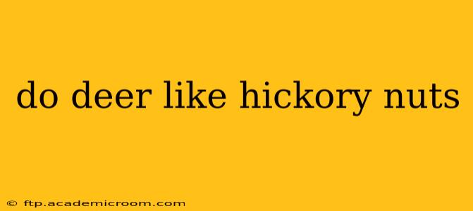 do deer like hickory nuts