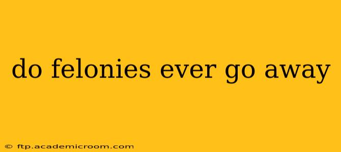 do felonies ever go away