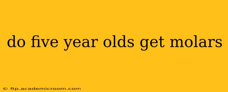 do five year olds get molars