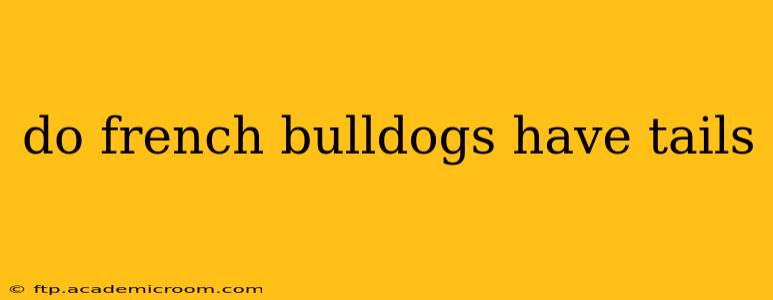 do french bulldogs have tails