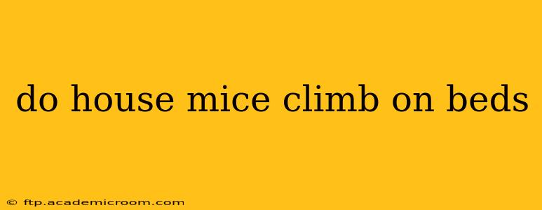 do house mice climb on beds