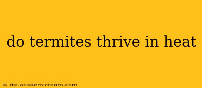 do termites thrive in heat