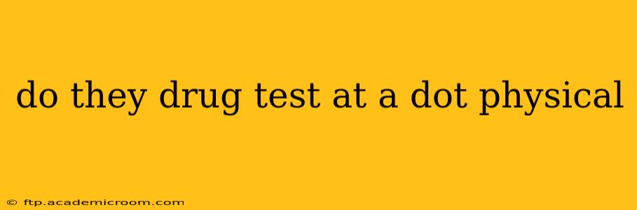 do they drug test at a dot physical