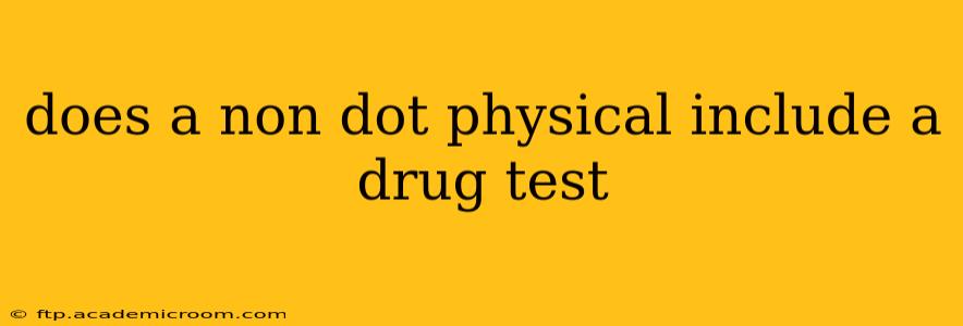 does a non dot physical include a drug test
