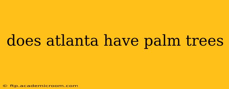does atlanta have palm trees