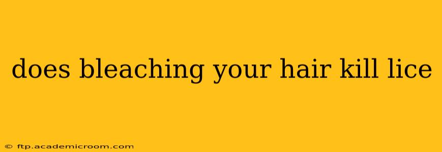 does bleaching your hair kill lice