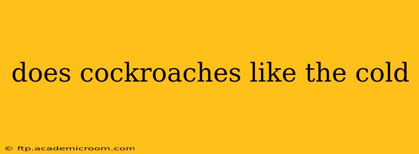 does cockroaches like the cold