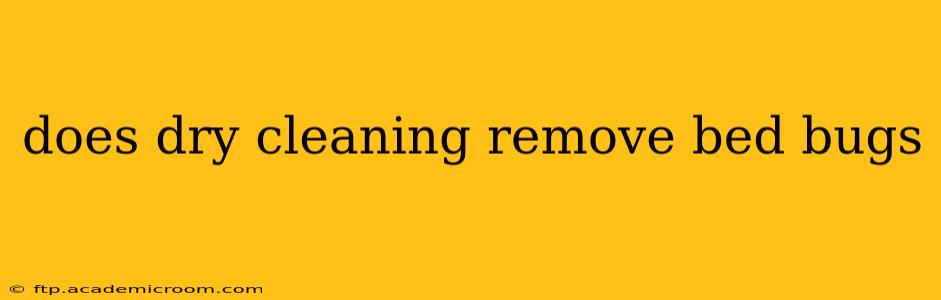 does dry cleaning remove bed bugs