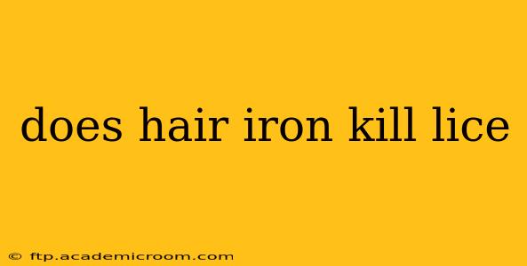 does hair iron kill lice
