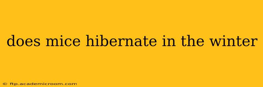 does mice hibernate in the winter