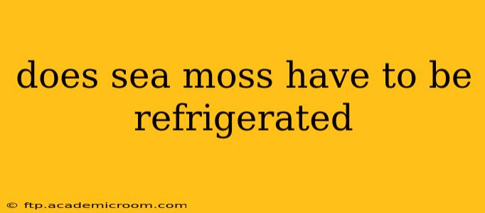 does sea moss have to be refrigerated